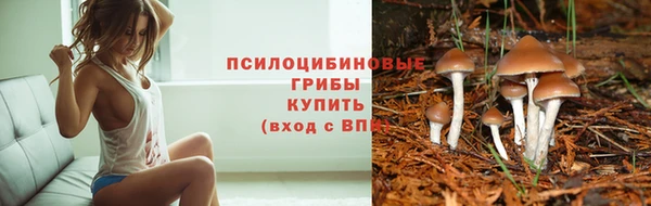 герыч Гусиноозёрск