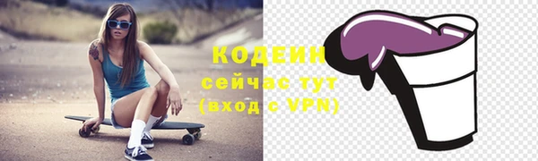 хмурый Тавда