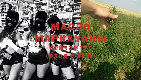 тгк Гусев