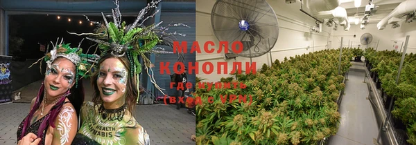 дурь Сясьстрой