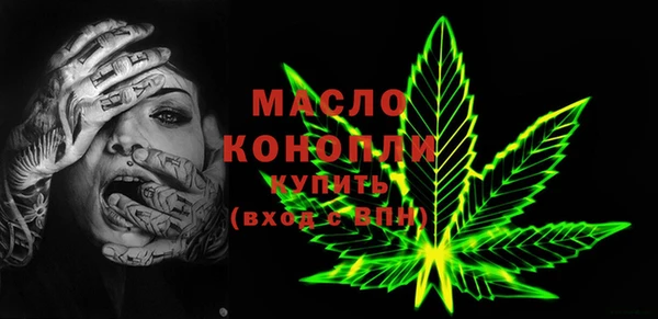 тгк Гусев