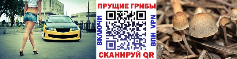 купить наркотик  KRAKEN как войти  Псилоцибиновые грибы Cubensis  Электроугли 