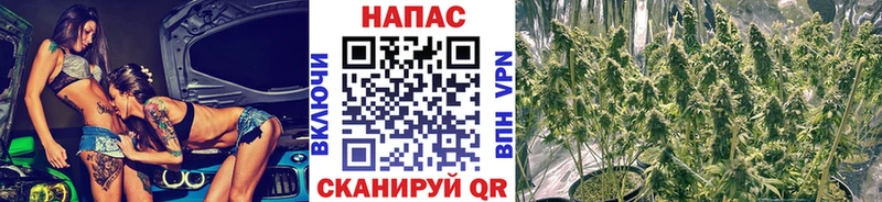 МЕГА tor  купить закладку  Электроугли  Бошки марихуана планчик 